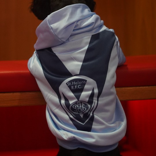 Away Kit Dog Hoody
