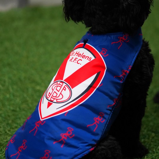 Saints Dog Coat Blue