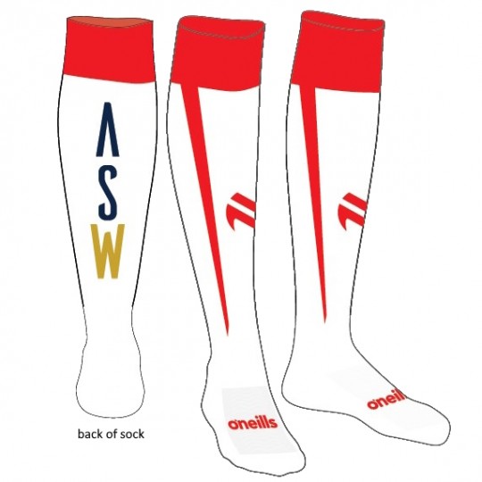 2024 Kids Home Socks