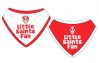 Bandana Bib 2 Pack Red/White