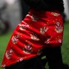 Saints Dog  150yrs Jersey