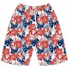 Men's Hawaiian Board Shorts.