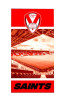 Stadium Beach Towel