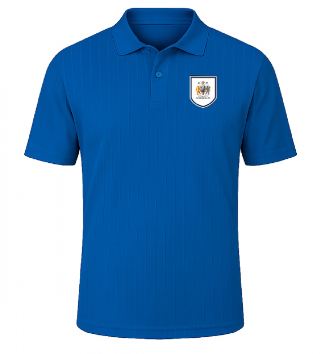 Shadow Stripe Retro Polo