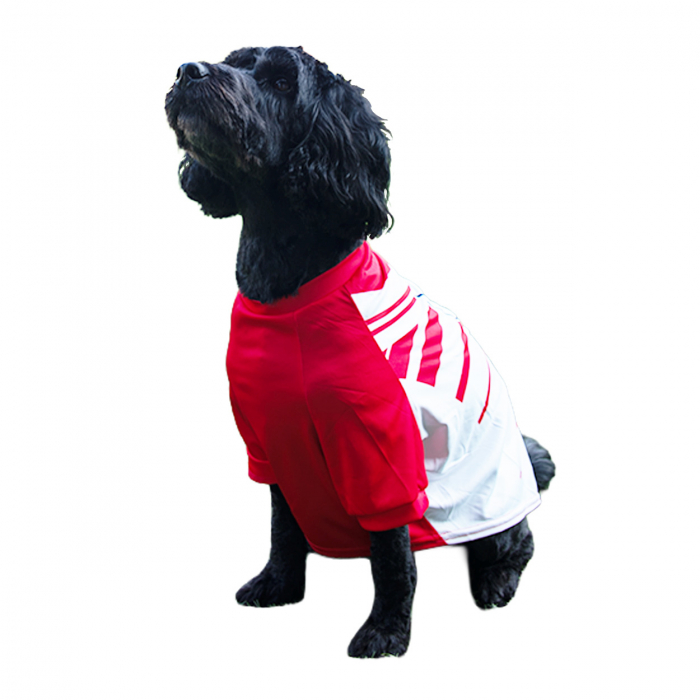 Saints 2026 Home Dog Jersey