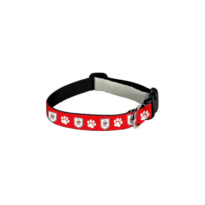 Dog Collar